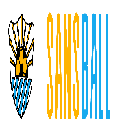 sansballfwft