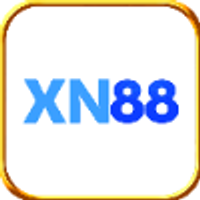 Xn881net1