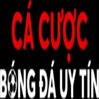cacuocbongda12