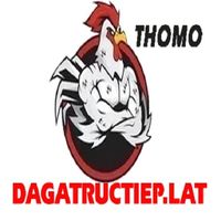 dagatructieplat