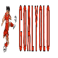 goalyoloiq