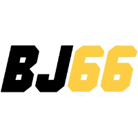 bj66netz