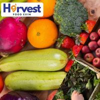 Harvestfood Exim