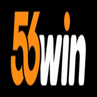 58Winvin1
