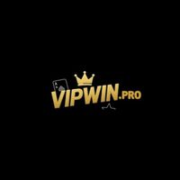 vipwinpro