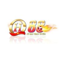 qh88vfs3
