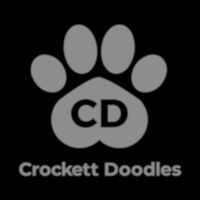 crockettdoodles_usa