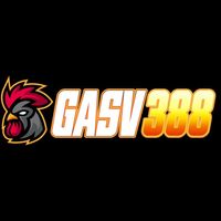 Gasv3881