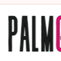 palmbaytowing2uw
