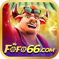 fofo66net