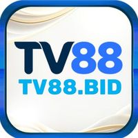 tv88bid