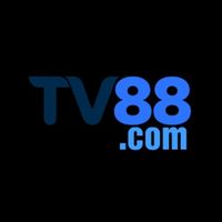 tv88stvincent
