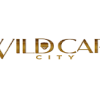 wildcardcity
