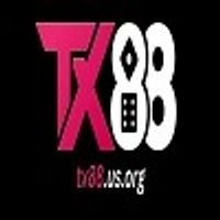tx88usorg 0