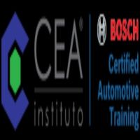 institutoceacom