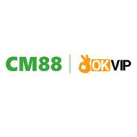 cm88seocom1