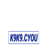 k9k9cyou1