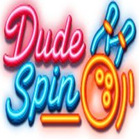 dudespingrcom