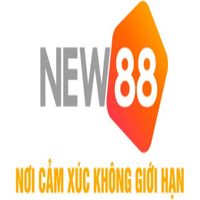 new882infoo1
