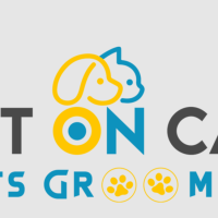 cutoncarpetsgrooming