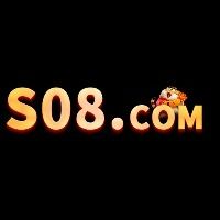 s08netbr