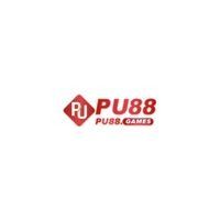 pu88gamess