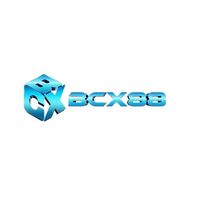 bcx88work