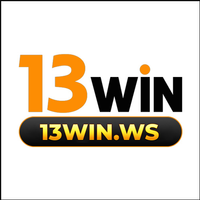 13winws 0