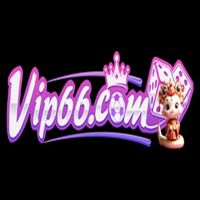 Vip66nycom