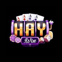 2haywin 0