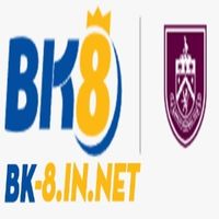 Bk8innet1