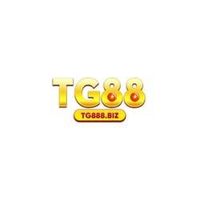 tg888biz