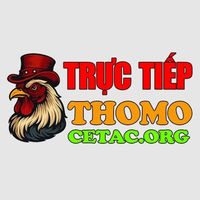 dagayoutructiepcetac