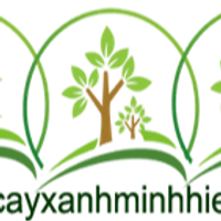 caygianghuongnx