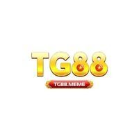 tg88meme1