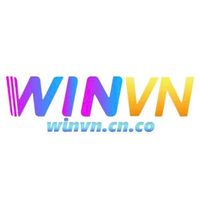 winvncn