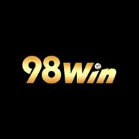 98wincomskin2