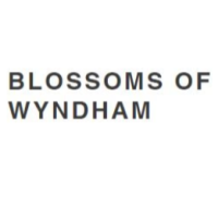 blossomofwyndham