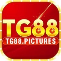 qtg88com