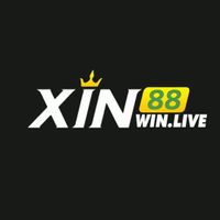 xin88homes
