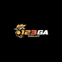 123gaapp1
