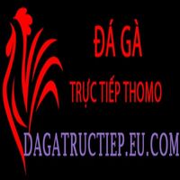 dagatructiepeucom