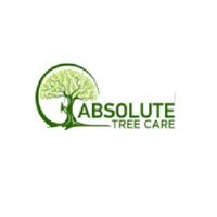 absolutetreecareau