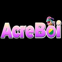 boi33art