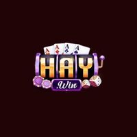 Haywin1digital