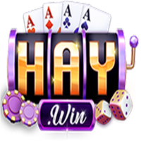 Haywin1group