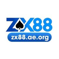 zx88aeor