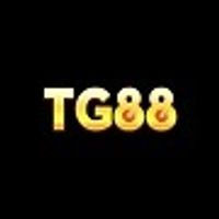 ystg88comm