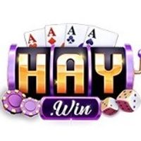 3haywinpro