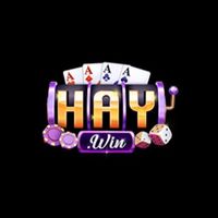 Haywin2com